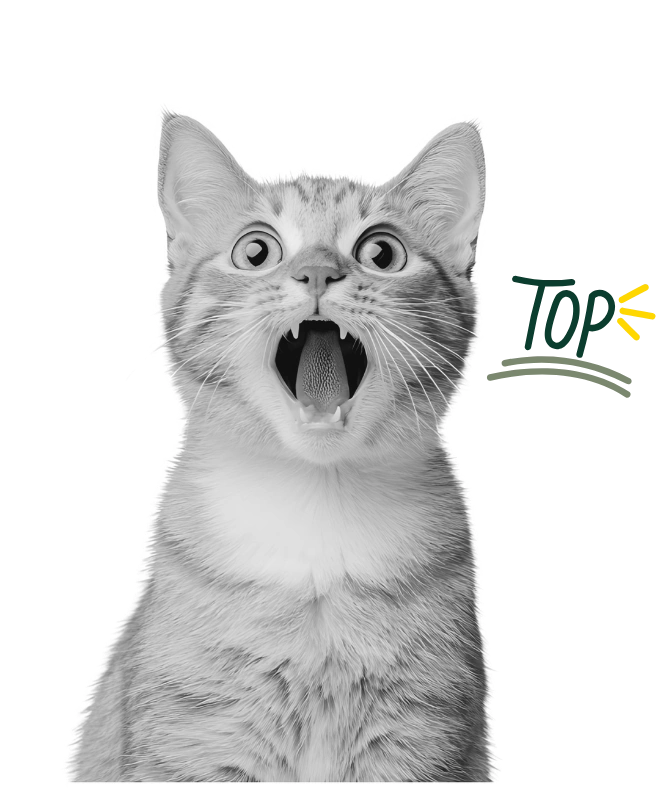 Zaskoczony kot Crafteo